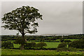 SH4759 : Northwest from Plas Dinas by Ian Capper