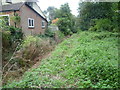 Ditch at Pickhurst Green