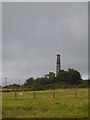 Chimney and engine house remains at East Kit Hill Mine