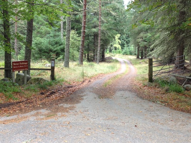 Forestry road and fishing access to the River Averon