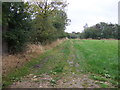 Farm track off Irnham Road