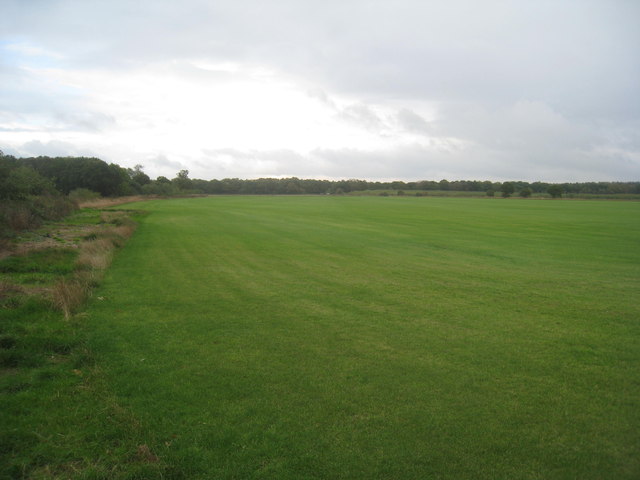 Turf field