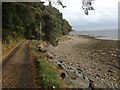 Shoreline near Craigton