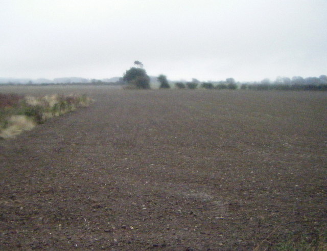 Farmland east of the A15