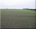 Farmland, Barrow Hill