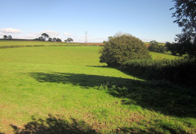 Pasture near Wotton Cross