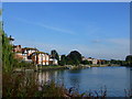 River Thames from footpath, Radnor Gardens