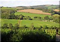 Countryside near Coombe