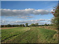 Bridleway from Manor Farm