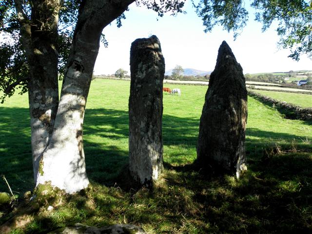 Standing stones, etc, Carnaghan