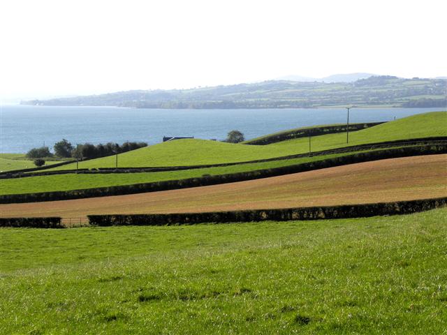 Strips of land, Carnaghan, Inch Island