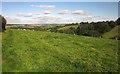 Sheep pasture west of Dolbeare Park