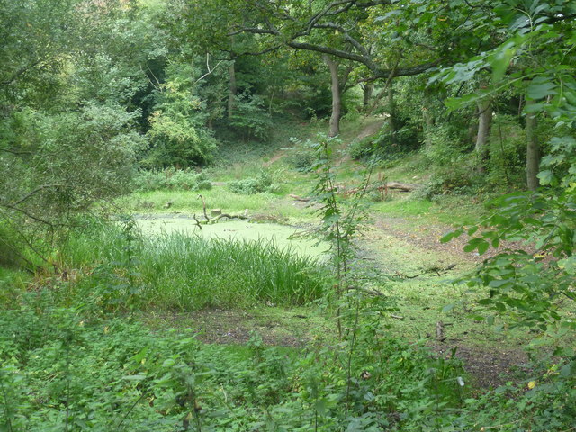 Almost dried-up pond on Hayes Common