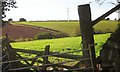 Farmland near Trevashmond