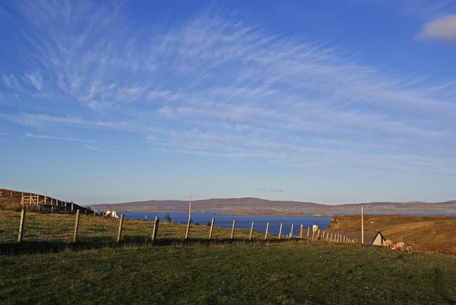 Croft fence and a fine sky