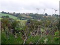 Over the hedge to Ovington