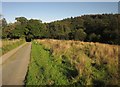 SX3464 : Unfenced road from Leigh Farm by Derek Harper