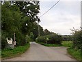 Lane leading to Green Lane Farm