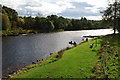 Canoeists on the Spey