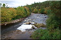 River Dulnain above Ellen Bridge