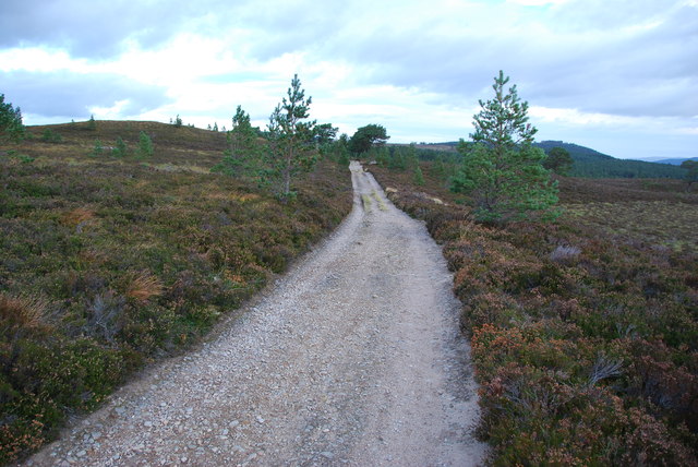 Hill track to Nethy Bridge