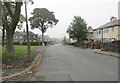 Beechwood Road - viewed from Beechwood Drive