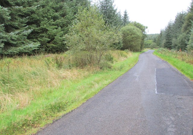 The road through the forest to Loch Ettrick