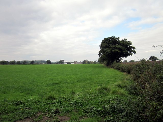Footpath to Wrexham Road