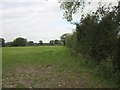 Footpath to Wrexham Road