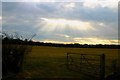 Evening at Highfield Farm