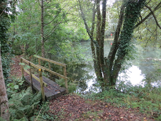 Footbridge over stream at Lower Cowley