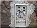 Ordnance Survey Flush Bracket G4383