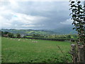 On a green lane above Ty Mawr farm near Llangattock