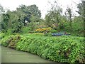 Allotment gardens, north-east of Park Bridge