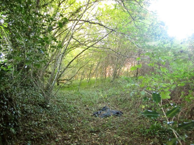 Woodland near Enquire-the-way