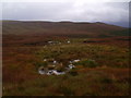 NC5723 : Wet ground south-east of Meall Meadhonach near Crask Inn, Sutherland by ian shiell