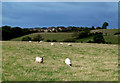 Farmland Near Mossblown