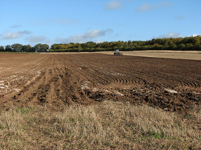 Autumn ploughing near Worsted Lodge