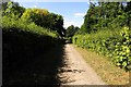 The Icknield Way runs past Harwell Laboratories