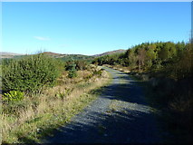 NX4571 : Forestry track north of Auchinleck by Anthony O'Neil