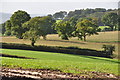 Mid Devon : Countryside Scenery