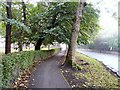 Autumn on Victoria Street