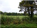 Castletown Townland