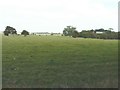 Northerly view from Sheppey Cemetery