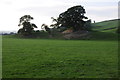 Motte and bailey near Llanerfyl