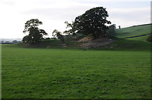 SJ0310 : Motte and bailey near Llanerfyl by Philip Halling