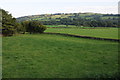 SJ0411 : Meadowland near Llanerfyl by Philip Halling