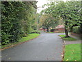 Broom Hall Avenue - looking towards Bradford Road