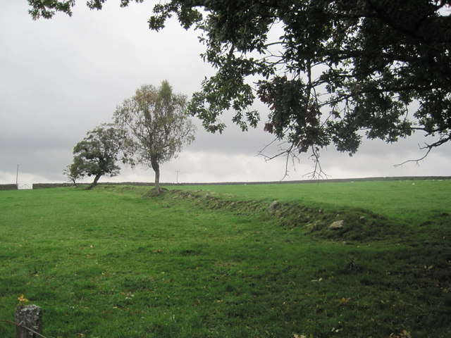 Old Field Boundary near Greenhaugh