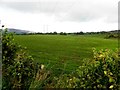 Tattynure Townland